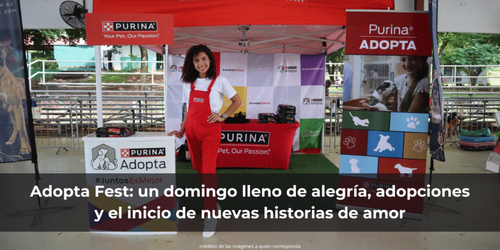 Adopta Fest: un domingo lleno de alegría, adopciones y el inicio de nuevas historias de amor