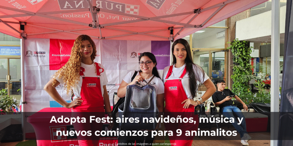 Adopta Fest: aires navideños, música y nuevos comienzos para 9 animalitos